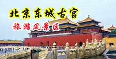 淫荡15p中国北京-东城古宫旅游风景区